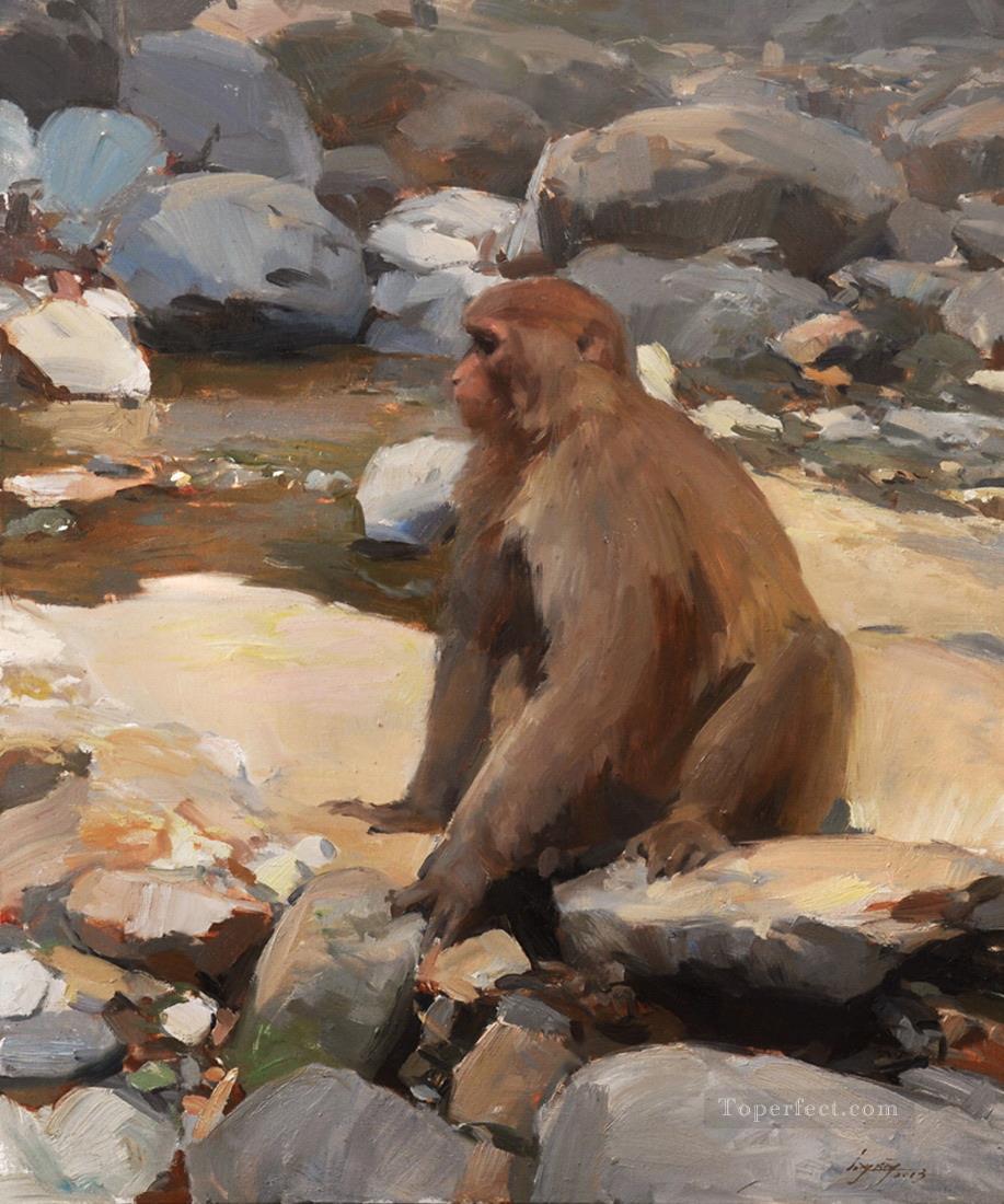 monkey 1 Oil Paintings